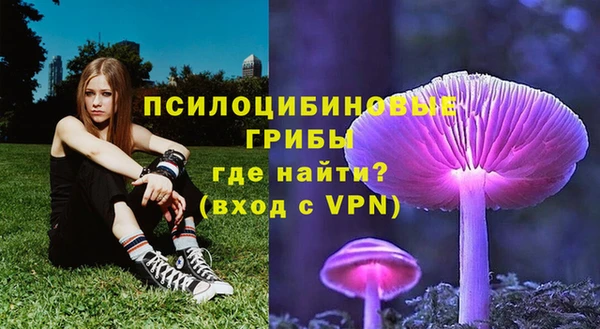 каннабис Баксан