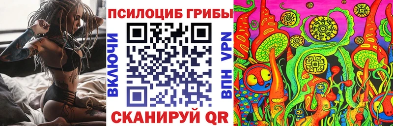 Псилоцибиновые грибы прущие грибы  Стародуб 